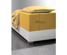 fleuresse Lenzuolo Comfort XL-in jersey,per materassi standard e ad acqua, Jersey, giallo, 200 cm x 200 cm