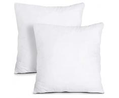 Sweet Honey Coppia di Imbottitura Cuscini Quadrati 45x45 Anima per Divano Letto x Federe da Arredo Decorativi Cameretta Bambini Poltrona Anallergica (45x45 cm)