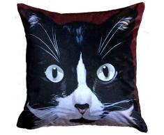 Cuscino decorativo in velluto. Collezione Chenco. Art. 107