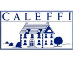 Caleffi - Piumino d'oca matrimoniale 30/70 art. Ghiro