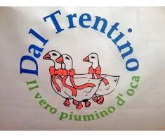 VERO Piumino d’OCA Trentino letto Singolo piuma Piumone per sacco copripiumino