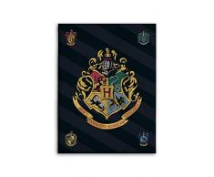 BrandMac Harry Potter - Coperta in pile 100 x 140 cm