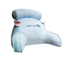 PW TOOLS rinfrescante letto, cuscino da lettura per letto, Cuscino posteriore | Cuscino per sedia | Cuscino da seduta | Sedia a cuscino | Cuscino Schienale Con Braccioli Supporto Schiena