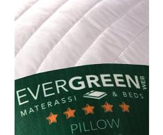 Evergreenweb - Cuscini Letto Coppia 45x45 alti 12 cm LAVABILI in Lavatrice 2 Cuscini Decorativi Divano Arredo Casa o Esterno Imbottitura Fiocco Super Soft Morbidi effetto piuma Antiacaro fodera Bianca