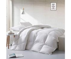 APSMILE Piumino estivo leggero, 240 x 260 cm, Hotel Collection, con piumino e piume, per il clima caldo/dormienti caldi (240 x 260 cm, bianco)