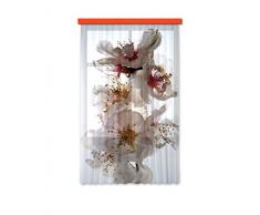 AG Design Tende - Fiori - Stampa Foto 3D - 140 x 245 cm - 1 Parte - FCSL 7506