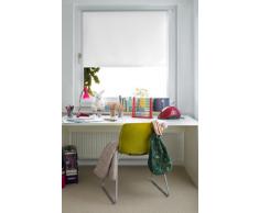 GARDINIA Tenda a rullo con rivestimento termico con morsetto o adesiva, Elevato riflesso della luce, Risparmio energetico, Opaca, Kit di montaggio incluso, EASYFIX Tenda a rullo con rivestimento termico, Bianco, 75 x 150 cm (LxA)