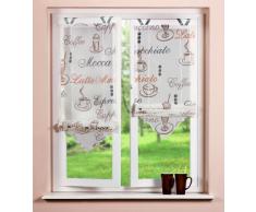 Home fashion 57132-802 Caffè - Tendina a pacchetto, in voile stampato, 140 x 45 cm, 1 pezzo, colore: Crema