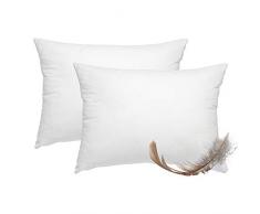 WOMETO 2 cuscini in piuma – OekoTex morbido, Tessuto, bianco, 30 cm x 50 cm