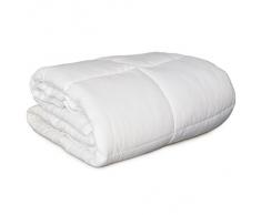 Piumino piumone con imbottitura anallergica 300 gr/mq matrimoniale E679