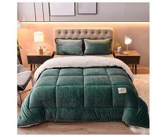 YRRA Piumino Cotone Inverno, Trapunta in Pelle di Agnello, Biancheria da Letto Trapunta Imbottita Super Morbida Imbottita, Coperta in Cashmere per Tutte ​Stagioni,G,180x220m（3.5kg）