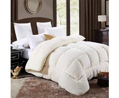 TIUTIU Piumino Invernale - Cashmere di Agnello, Lana Autunno E Inverno Trapunta Trapunta Trapunta Calda Peluche Calda Trapunta Invernale (Bianco,220x240cm - 4kg)