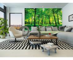 Fotomurale foresta - la foresta verde carta da parati - foresta, alberi, compensazione murale - 210cm x 140cm