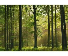 1art1 40585 - Carta da parati fotografica, motivo foresta autunnale, 8 unità, dimensioni 368 x 254 cm