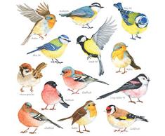 DECOWALL DS-8038 Piccoli uccelli Adesivi da Parete Decorazioni Parete Stickers Murali Soggiorno Asilo Nido Camera da Letto per Bambini (Piccolo)