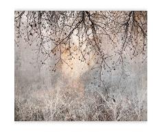 murando Carta da parati Astratto 400x280 cm Fotomurali in TNT Murale alla moda Decorazione da Muro XXL Poster Gigante Design Carta per pareti Uccelli b-C-10084-a-a