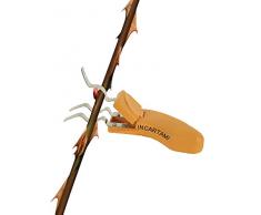 Zelda Bomboniere Spinarose Dallas