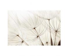 Bilderwelten Carta da parati - Steli delicati - Carta da parati a fiori fotomurale carta da parati larga carta da parati tessuto non tessuto tappezzeria carta da parati moderna 3D parati di design, Dimensione AxL: 290cm x 432cm