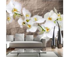 Fotomurali ! Carta da parati sulla fliselina ! Hit ! Carta da parati in TNT ! Quadri murali XXL ! Fotomurale 300x231 cm - Fiori 10040906-60