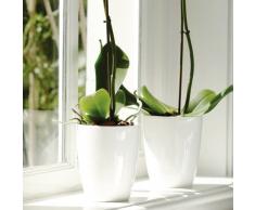 Elho - 315001 - Brussels Diamond, Vaso per orchidee, colore: Bianco, altezza: ca. 13 cm