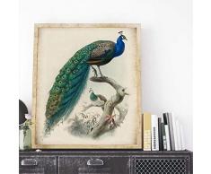 Pavone Uccello Stile Vintage Stampa Poster e stampe di Arte Della Parete Illustrazione Antica Tela Dipinto Soggiorno Complementi Arredo Casa 35x50 cm Senza Cornice