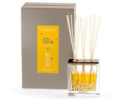 ESTEBAN Vaso diffusore profumo casa AMBRE ambra 250ml in vetro con bacchette