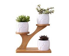 Vaso per Fiori per Piante grasse, Cactus, Piccolo Cactus, scaffale per Fiori in Legno, Supporto per Piante, Porta Piante per Cactus, Piante in Vaso e Piante grasse, 1 ripiano, 3 vasi di Fiori