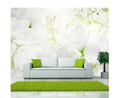 murando Carta da parati 350x256 cm Fotomurali in TNT Murale alla moda Decorazione da Muro XXL Poster Gigante Design Carta per pareti fiori b-A-0022-a-b