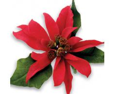 jem Tagliapasta, Bianco, 9 x 1 x 25 cm, 10 unitÃ 