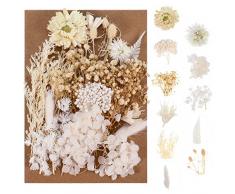 Bohoman Fiori Secchi Naturali, Veri Fiori Secchi per Resina Misti Petali e Foglie di Fiori Pressati Fiori Secchi Eterna Fiore per Fai da Te Scrapbooking Candele Decorazione(bianco)