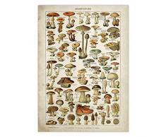 BYFRI Poster Vintage Antico Stampa Floreale Arte Botanica Poster educativo Funghi Wall Art Home Decor