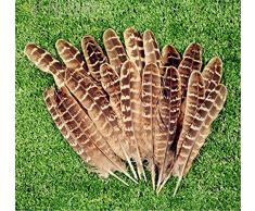 ERGEOB® Decorazione della natura gallo piuma di fagiano piuma 50/100 pezzi, 10-15 cm Laeng Ideale per i costumi, cappelli, artigianato, decorazioni per la casa, fai da te, etc.