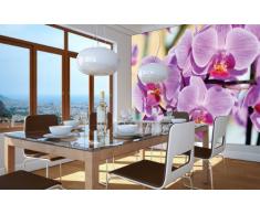 Great Art Poster Fiori Murale Decorazione Orchidee Natura Fiore di Falenopsis Piante di Orchis Botanica Primavera Relax Benessere Spa - Fotomurales Decorazione da Parete Immagine by (140 x 100 cm)