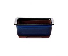 Crespi Bonsai V022/2 Vaso per Bonsai, Blu, 22.5x16x6.5 cm