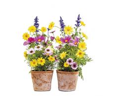 Komar Adesivo per finestre SPRINGTIME, multicolore, 16000