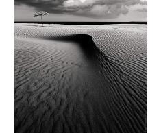 Immagine su TELA ROLLED Ombrello sulla spiaggia Schuurmans Wim - Paesaggio quadrato Stampa artistica IWIM OMBRELLO ZEBRA STRIPES PATTERN UM Tela fine art 25_X_25_in