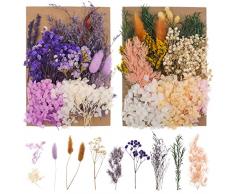Bohoman Fiori Secchi Naturali, 2 Borse Fiore Essiccato Pressati Fiori Secchi Veri Fiori Secchi per Resina Foglie Floreali Colorati e Misti Petali per Fai da Te Scrapbooking Candele Decorazione