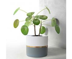 La Jolíe Muse Vasi per Piante Set 2 - Vaso da Fiori in Ceramica 16,5 x 15 cm per Herb Succulent Interni Esterni Balcony Giardino Fioriera Decor Regalo per Natale