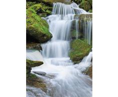 1 Wall Poster Murale Per Pareti Disegno Cascate DAcqua
