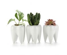 T4U Vasi in Ceramica per Succulente Piante Dente Set di 3, Piccoli Vaso per Cacti Erba Piante Grass Porcellana Vasetti da Interno Moderno Decorazione per la Casa e LUfficio