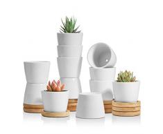 T4U 6.5 cm Piccoli Vasi per Piante Set di 12 Ceramica vasetti di Fiori con Sottovaso, Vaso per Pianta Bianco Moderni per Pianta Grasse e Cactus nel Interni e Giardini