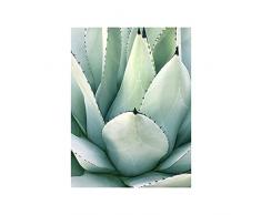 OYFFL Poster di Piante grasse Foglia di Palma Monstera Stampe botaniche Decorazione murale Piante Tropicali Poster per Arredamento della Camera (9,40 * 60cm Senza Cornice)