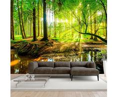 murando Carta da parati 400x280 cm Fotomurali in TNT Murale alla moda Decorazione da Muro XXL Poster Gigante Design Carta per pareti Bosco Foresta Natura Albero Verde c-B-0241-a-a