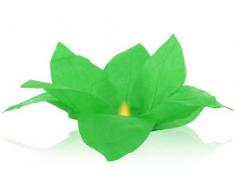 Night Sky Lanterns Lanterna galleggiante acqua fior di loto, tè luci verde