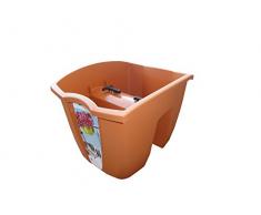 Terra - Cassetta portafiori Crown, Terracotta, 24 cm