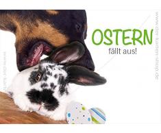 '3 pezzi witzige A6 animale Cartoline Cartoline - Carta Slot Easter Bunny Coniglio e cane Pasqua cade in.