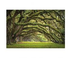 GREAT ART® Fotomurale – Viale Quercia – Decoratione da Parete Poster Murale Estate Foresta Muschio Mistic Oak Quercus Bosco delle Fiabe Parco Rami Carta da Parati 336 x 236 cm