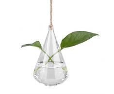 Fdit Vaso di Piante Sospesa, Fioriera in Vetro, Vaso Terrari Appeso per Decorazione,Display, Casa,Ufficio(#2)