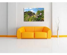 Fiori di prato in primavera pittura su tela, Immagini XXL completamente incorniciati con grandi cornici di cuneo, immagine della parete stampa artistica con cornice, più economico di pittura o foto, senza manifesti o poster, Leinwand Format:80x60 cm