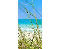 murando Autoadesiva carta da parati per porte XL 80x210 cm Pennelo per porte Poster Adesivo Quadro Design Natura Blu c-B-0221-a-d